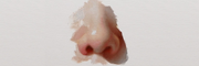 How to paint a nose using oil colours