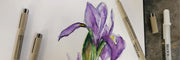 IRISES
