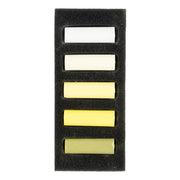 Rembrandt Pastel Cool Yellows 5 piece set