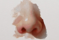 How to paint a nose using oil colours