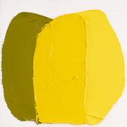 Cobra Artist Water Mixable Oil 40ml - 271 - Cadmium Yellow Medium