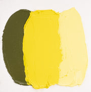 Cobra Artist Water Mixable Oil 40ml - 254 - Permanent Lemon Yellow