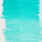 Bruynzeel Design Pastel Pencil Leaf Green 69