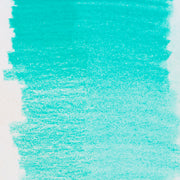 Bruynzeel Design Pastel Pencil Leaf Green 69
