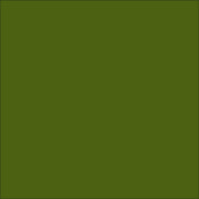 Talens Art Creations Indoor/Outdoor 50ml -  Moss Green