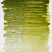 Bruynzeel Design Aquarel Pencil Olive Green 63