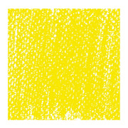 Rembrandt Pastel - 205.5 - Lemon Yellow 5