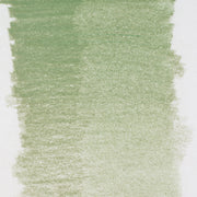 Bruynzeel Design Pastel Pencil Sap Green 96