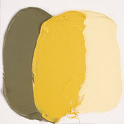 Cobra Artist Water Mixable Oil 40ml - 223 - Naples Yellow Deep