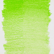Bruynzeel Design Pastel Pencil Light Green 60