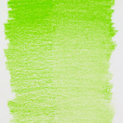 Bruynzeel Design Pastel Pencil Light Green 60