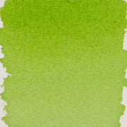 Talens Pantone Refill 30ml 373