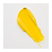 Cobra Artist Water Mixable Oil 40ml - 283 - Permanent Yellow Light