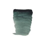 Rembrandt Watercolour 10ml - 630 - Dusk Green S1