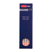 Bruynzeel Design Pastel Pencil Titanium Buff 75