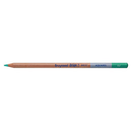 Bruynzeel Design Aquarel Pencil Dark Leafgreen 62