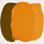Cobra Artist Water Mixable Oil 40ml - 211 - Cadmium Orange