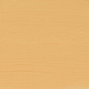 Rembrandt Acrylic - 223 - Naples Yellow Deep 40ml