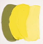 Cobra Artist Water Mixable Oil 40ml - 207 - Cadmium Yellow
