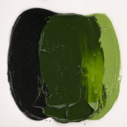 Cobra Artist Water Mixable Oil 40ml - 623 - Sap Green