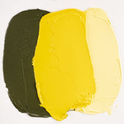 Cobra Artist Water Mixable Oil 40ml - 275 - Primary Yellow