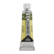Rembrandt Watercolour 10ml - 629 - Green Earth S1