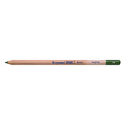 Bruynzeel Design Pastel Pencil Sap Green 96