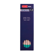 Bruynzeel Design Pastel Pencil Emerald Green 76